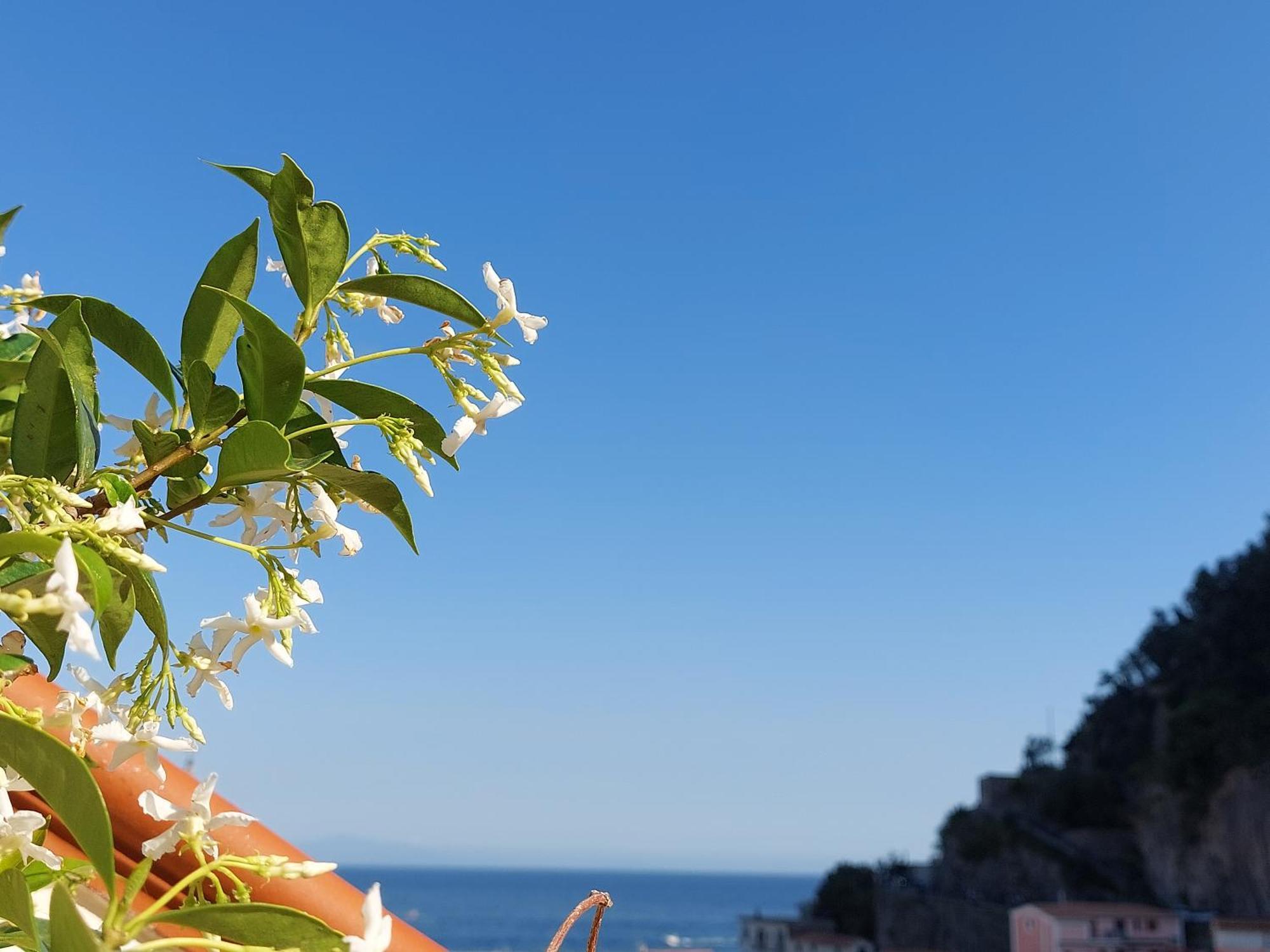 B&B Domus San Pietro Cetara Bagian luar foto